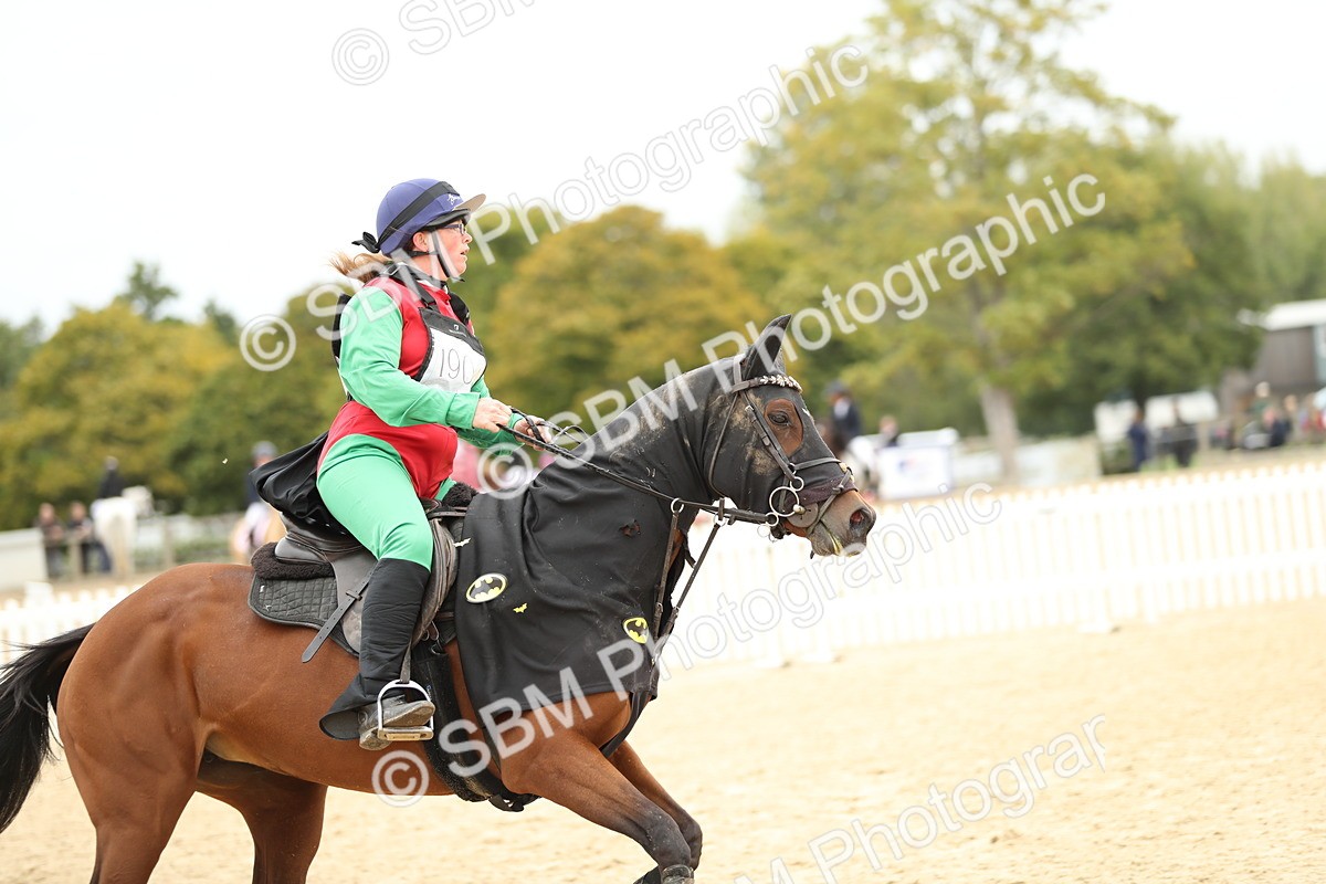 SBM_65748 - J48 - Pairs Jumping Open 70cm & 85cm