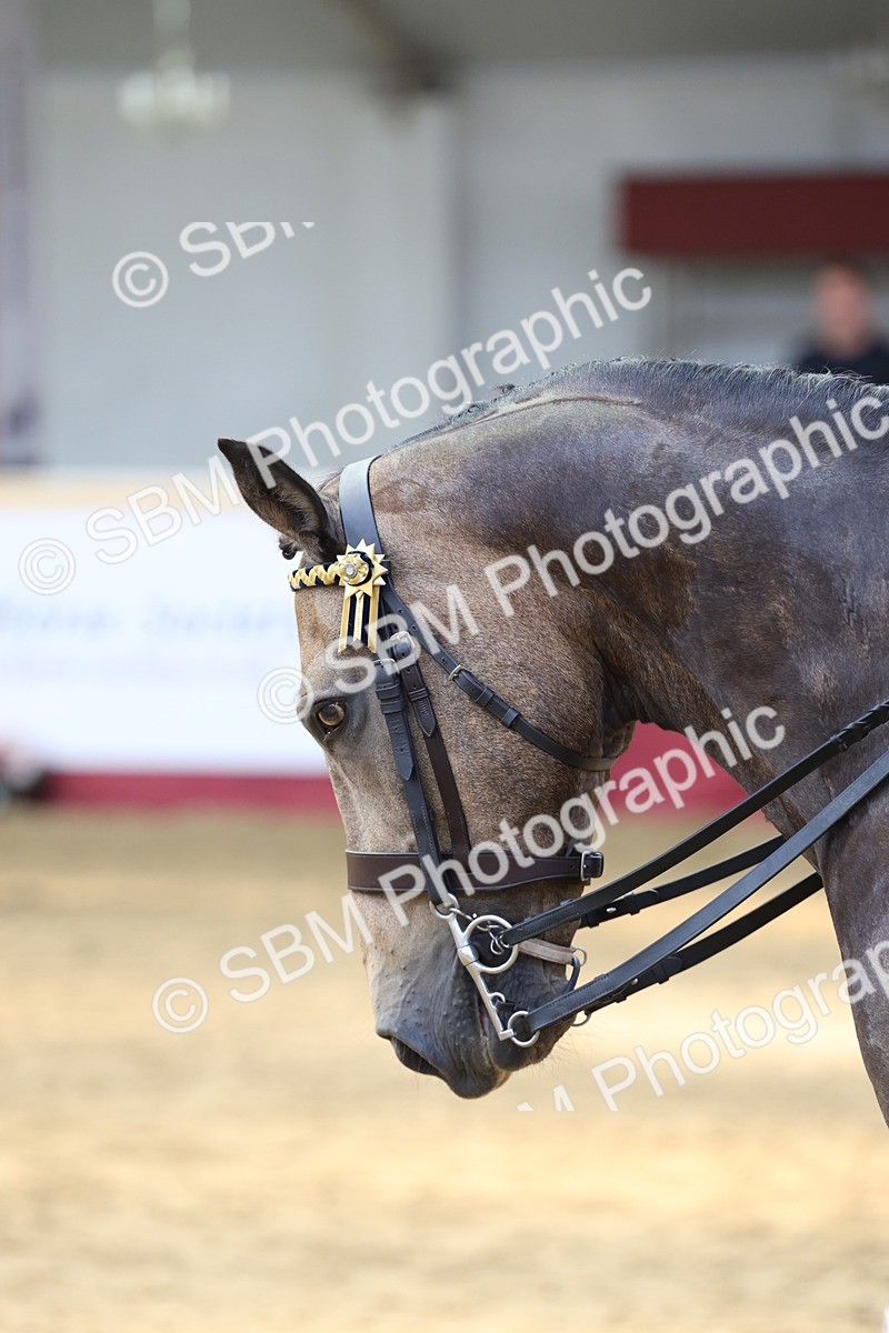 SBM_24138 - Class 905 - Supreme Final - Ridden Veteran