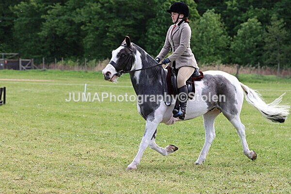 IMG_3300 - Working Hunter