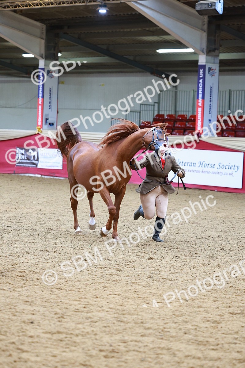 SBM_02373