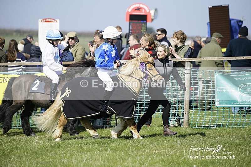 PtP 190322 109 - Wilton Hunt PtP Milborne St Andrew 19/03/22