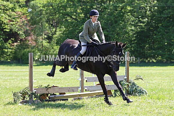 IMG_4146 - Working Hunter