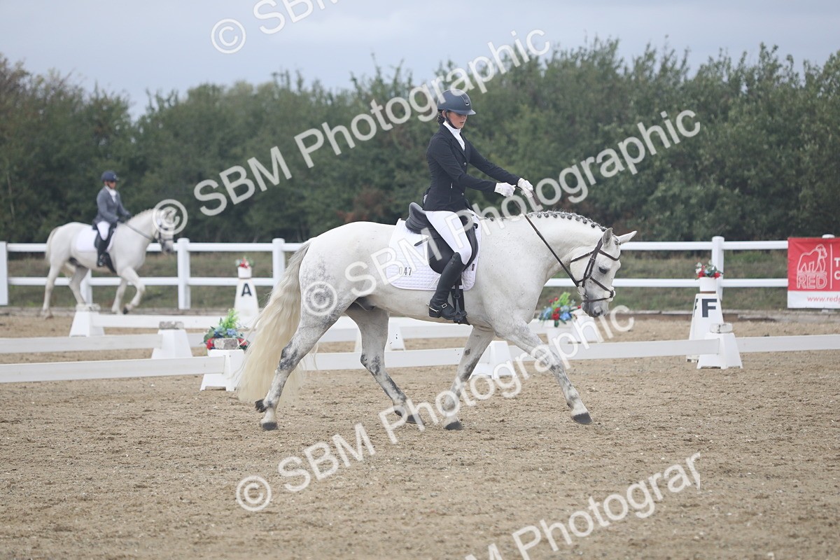 SBM_004104 - Class 5 - Prelim 3 - 15.08-15.50