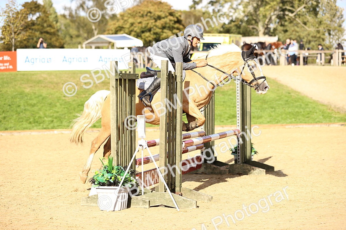 SBM_51378 - J10 - Junior Pony 75cm Championship