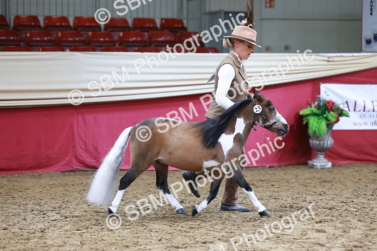 SBM_15726 - Class 110 - IH  Minature Horse