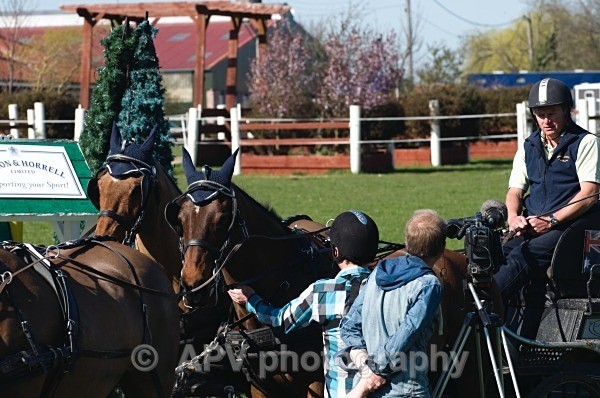 _DSC0293 - Ashfields Carriage & Polo Club