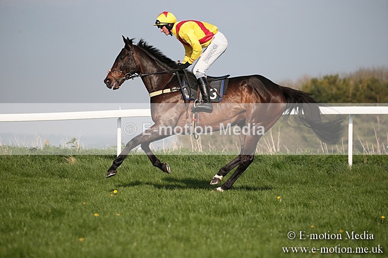 PtP 210418 558 - South & West Wilts Point-to-Point Larkhill 21/04/18