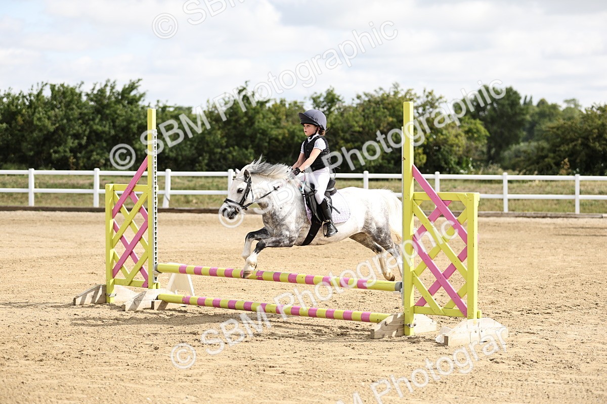 SBM_003489 - 50cm showjumping