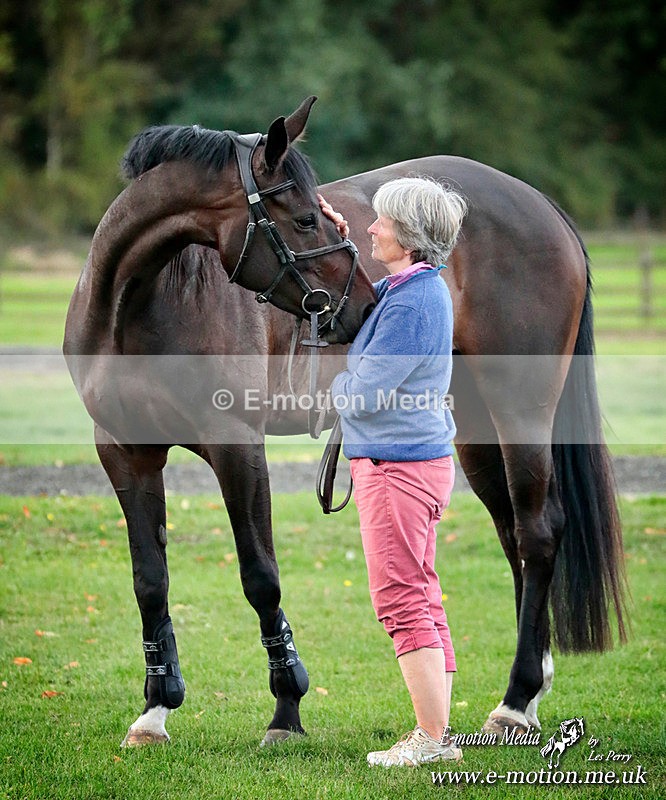 AD 300823 2037a - Equestrian