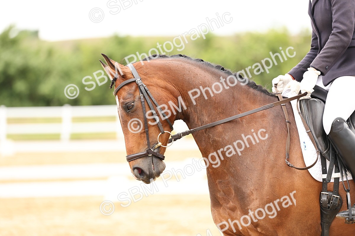 SBM_004888 - Class 6a - Novice 5 - 14.48-16.40
