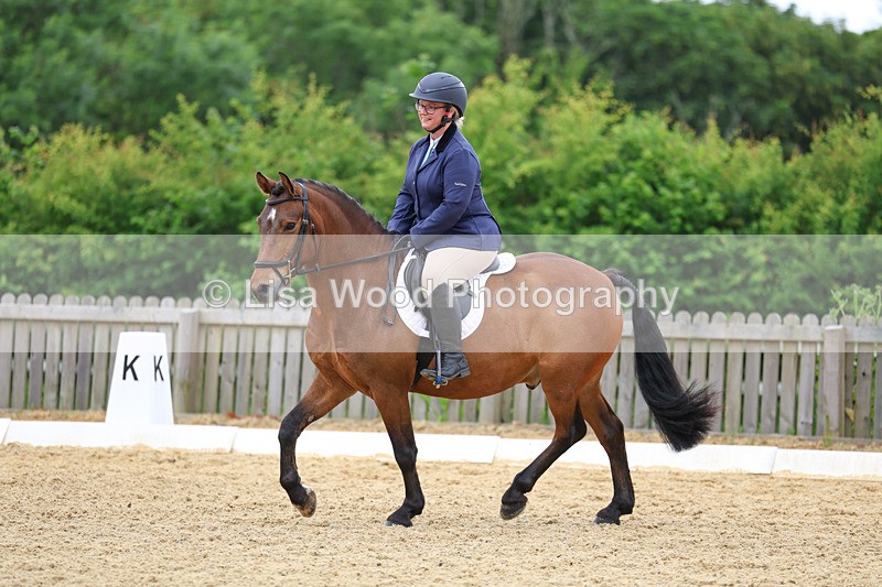 3E7A9542 - Class 2: Intro 1 2024 Section B