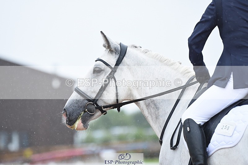 230708A-123828-01760 - Prelim 7