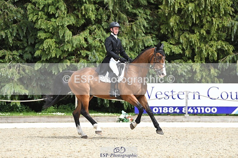 230525-151309-03213 - 325-LONESTAR-Thomas_Hawke-WEDTrotUp+DR