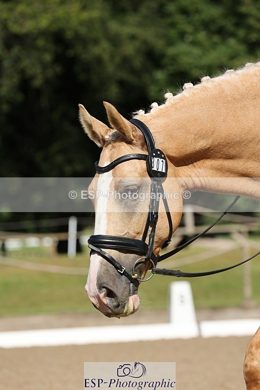 240719-092128-00121 - 307-Kate_Kerswell-Top_Gun_RB