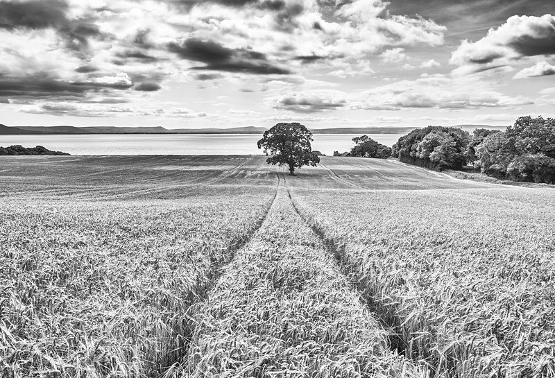 MF1_7084-Edit - South Inishowen