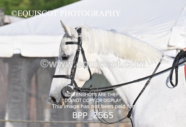 BPP_2565 - CLASS 6  Senior Discovery/ 1m Open