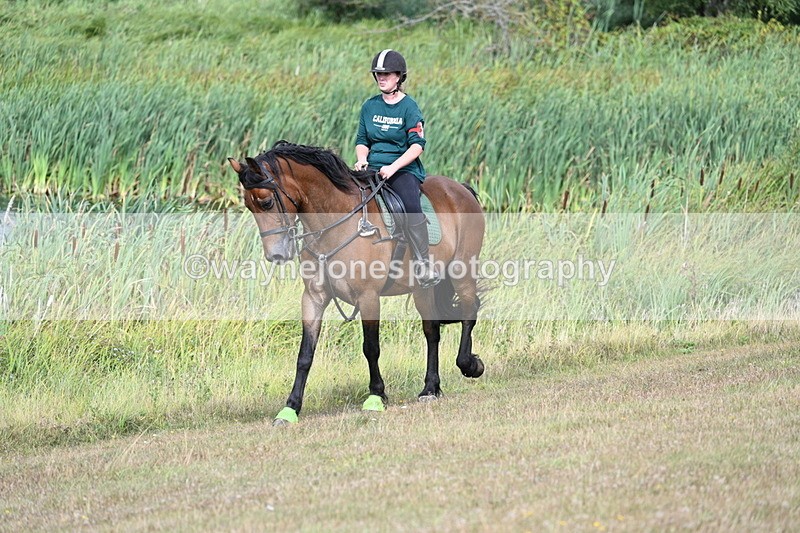 WJ7_4877 - Time 11:17 to 11:22