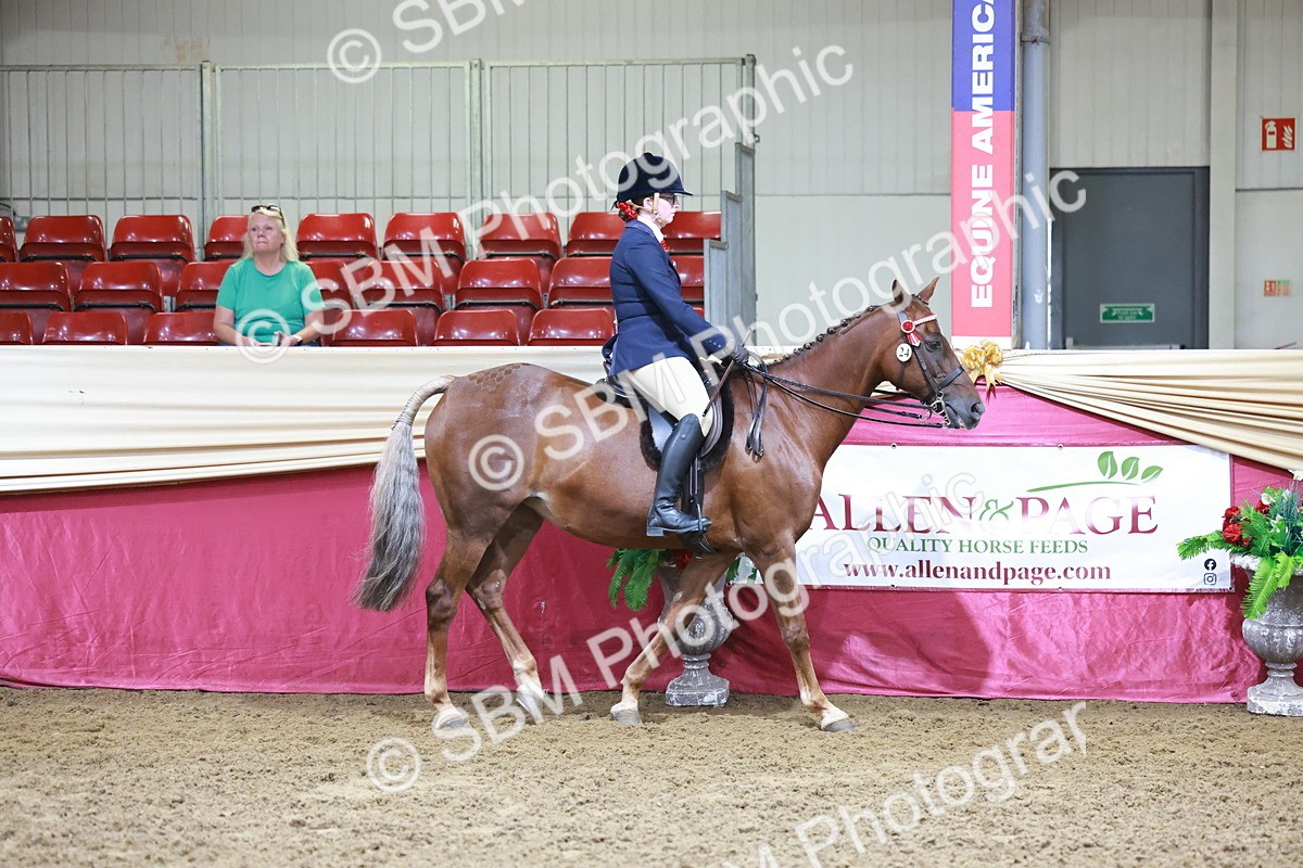 SBM_11785 - Class 102 - Equitation (Best Rider) Adult