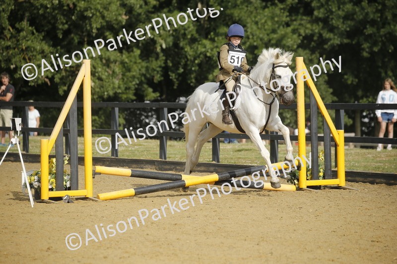 20250622-1255 - 40cm