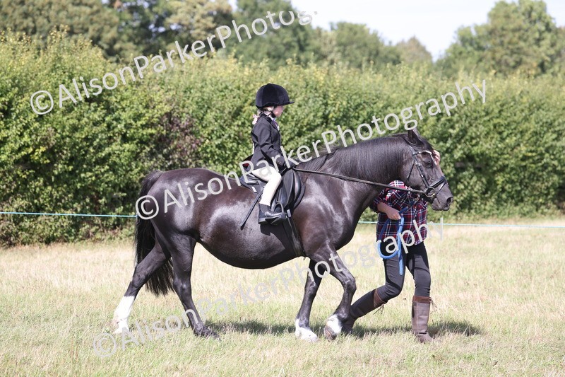 20260906-2742 - Class 25 - Absolute Beginners Pony