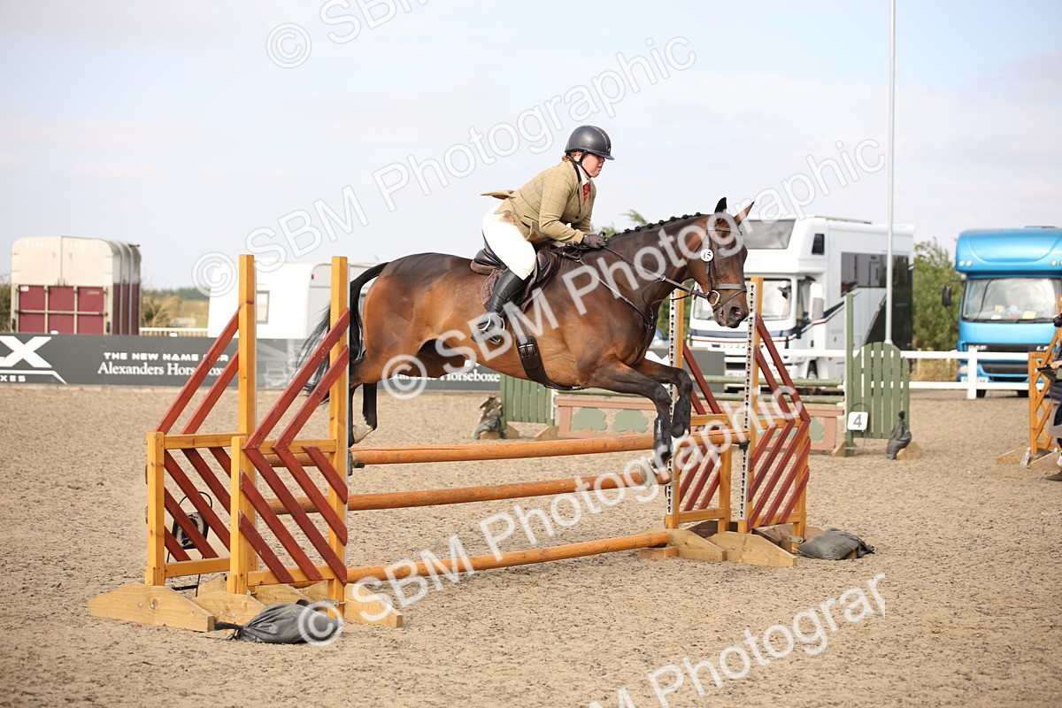 SBM_17296 - Class 410a - Wor5king Veteran 90cm (15-19)