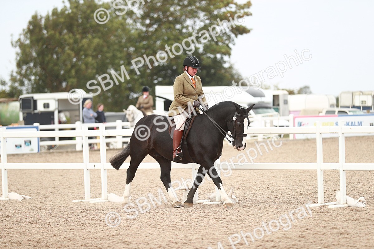 SBM_16665 - Class 214 Ridden Cob