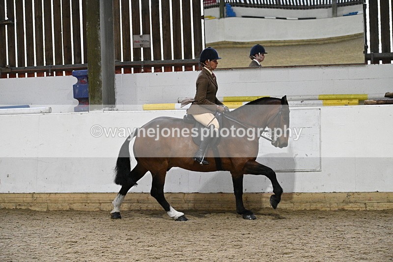 WJ7_3896 - Class 17 Ridden Cob