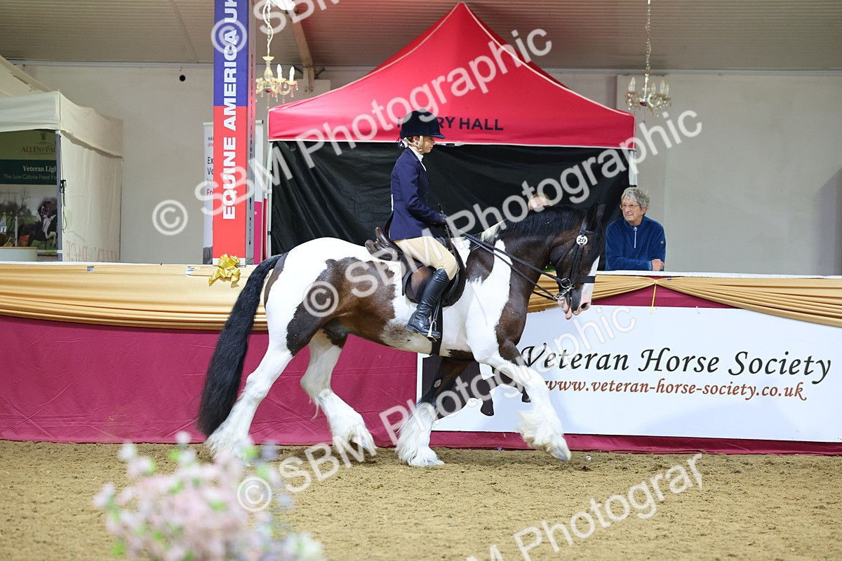 SBM_18570 - Class B Junior Champ 11-16 years