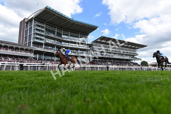 yr12052022r4-52 - Race 4 3.35pm Al Basti Equiworld Dubai Dante Stakes