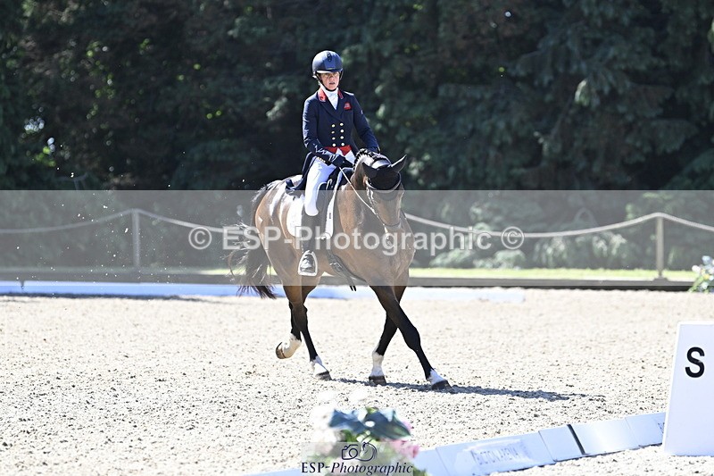 250522A-101233-02640 - B-310-Kitty.King-LISCARROW.FERNHILL