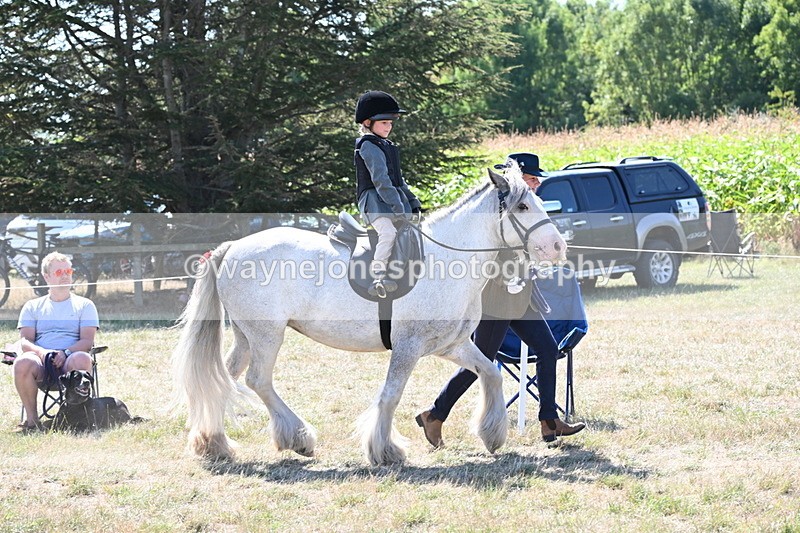 WJ6_7825 - Class 36 Lead Rein