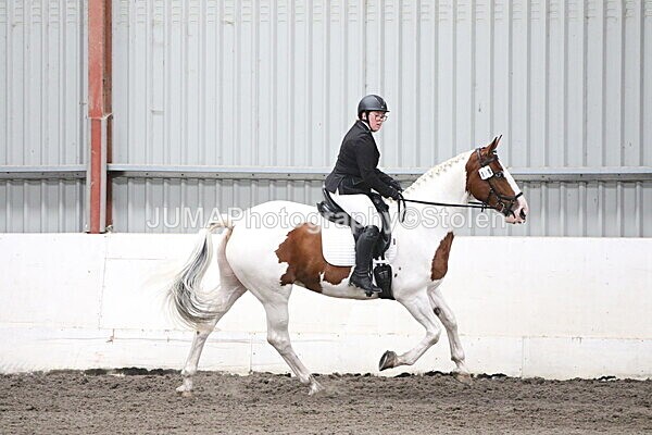 SIAL4834 - CAbin Dressage 5th july 2025