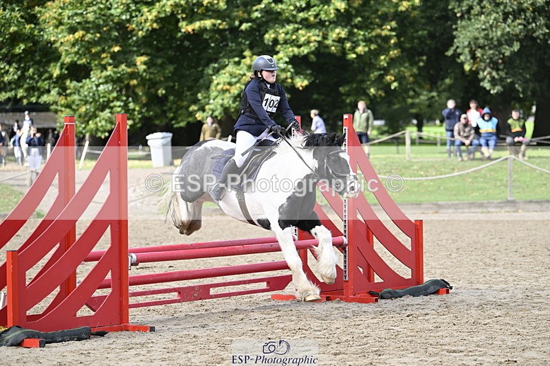 251005A-121504-03687 - Cls 08 Mini 70-75cm