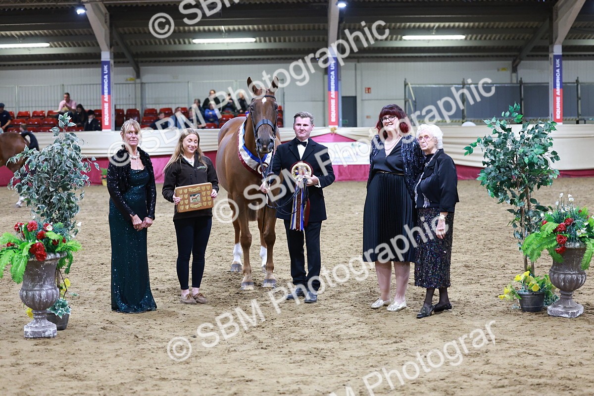 SBM_20522 - Class G - IH Large (over 148cm)Champ