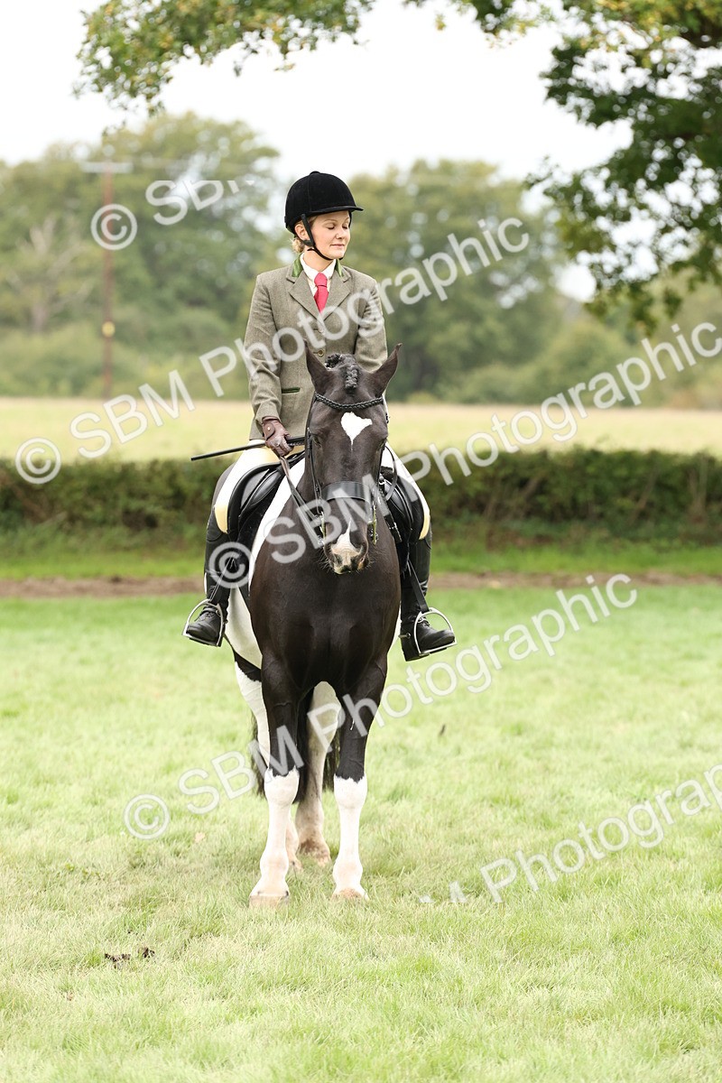 SBM_67297 - S67 - Piebald & Skewbald Horse Ridden