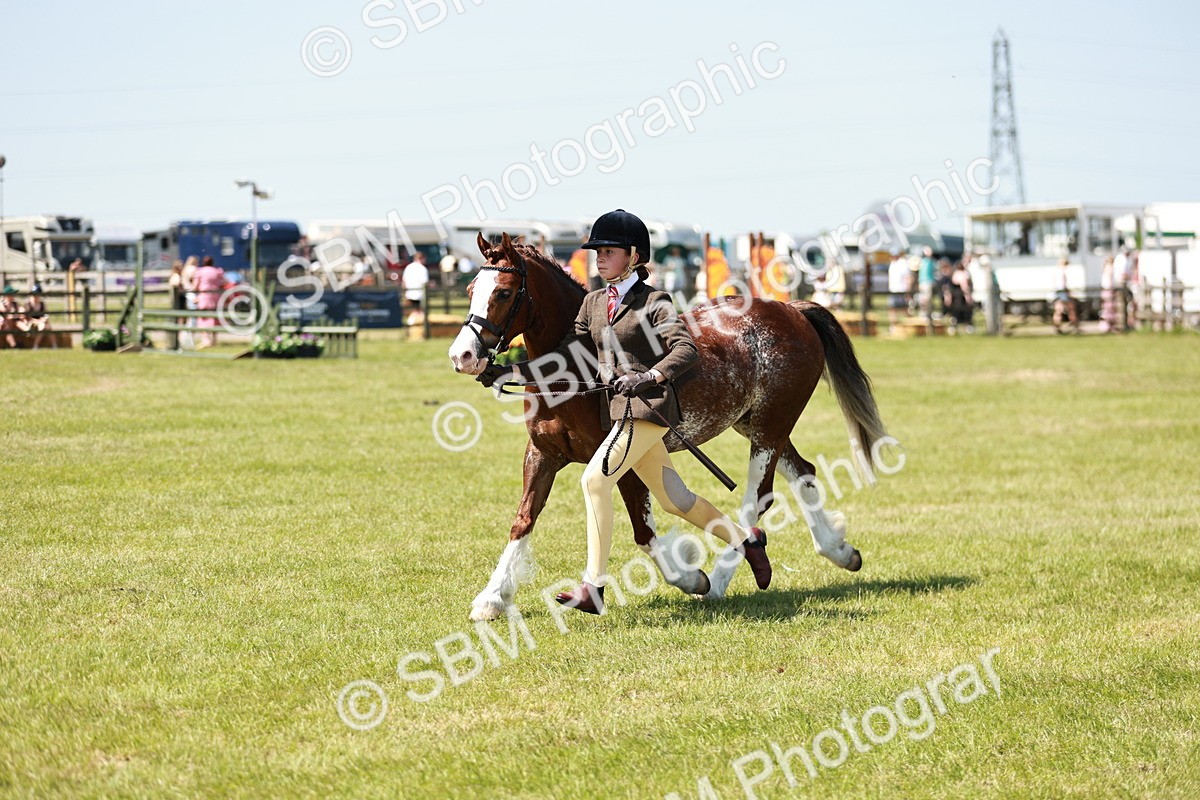 SBM_15562 - Class 108-109 - BSPS LIHS Open Gradle & Nursery Stakes