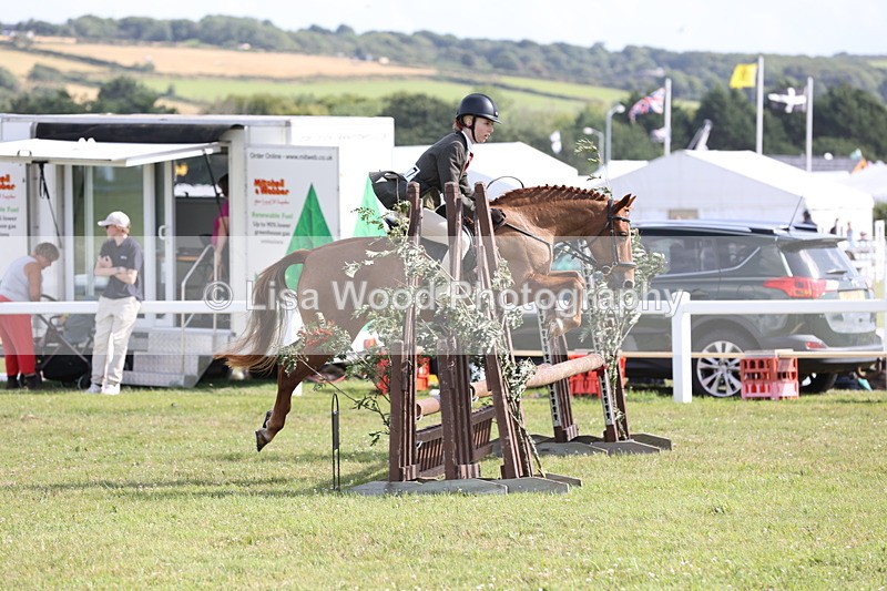 JPP_2741 - Class 20: Working Hunter 70cm