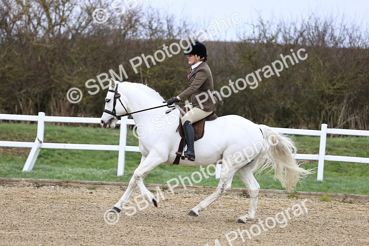 SBM_006953 - Class 29 - 30 - M&M Pure Novice Small-Large Breeds