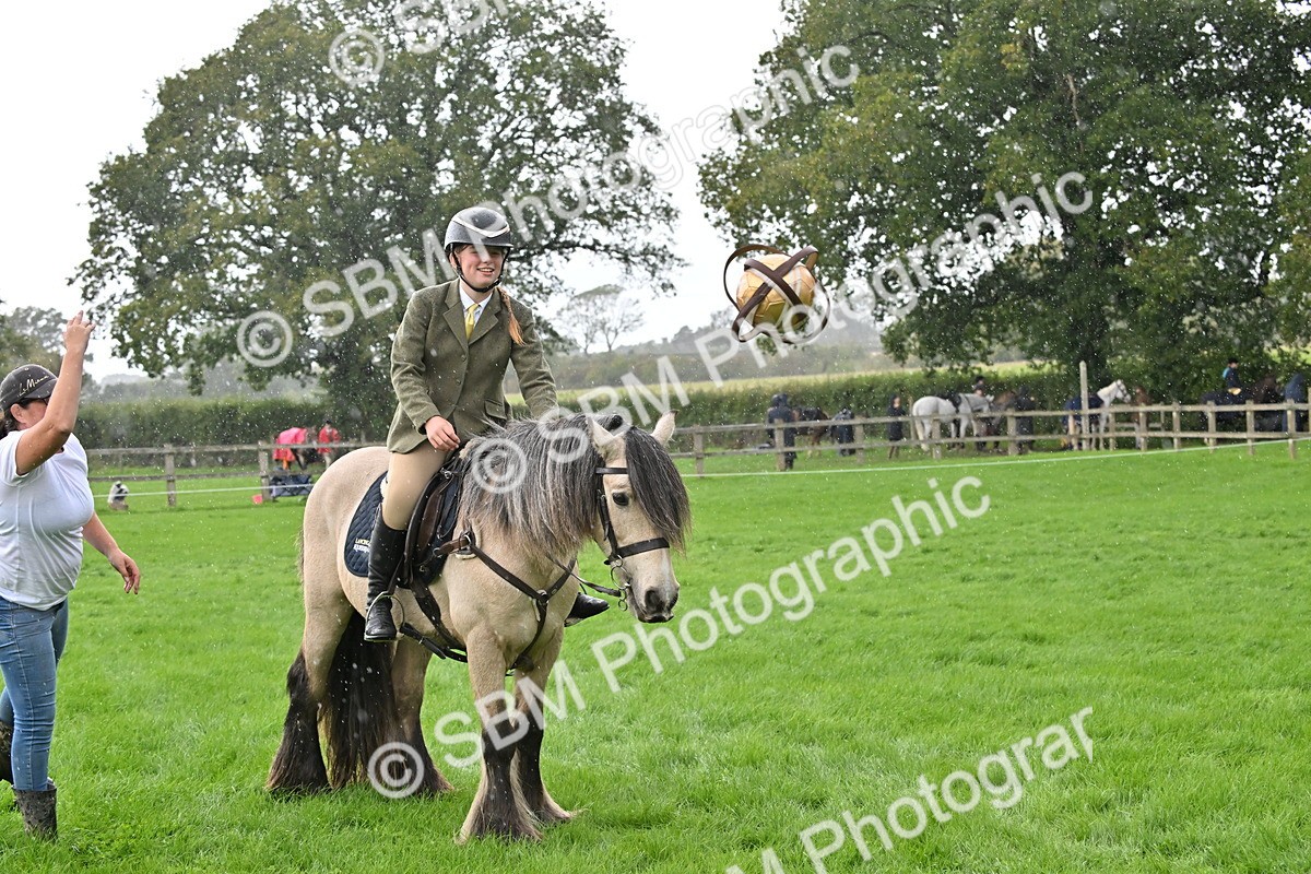 SBM_43016 - S12 - Family Horse & Pony