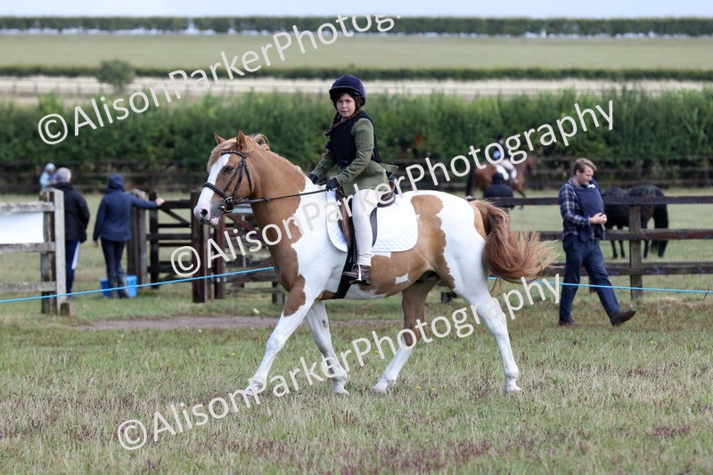 20250831-2446 - Class 16 - Family Pony