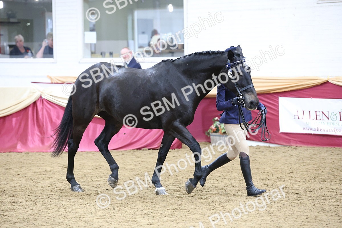 SBM_23616 - Class 904 - Supreme Final - Ridden Diamond