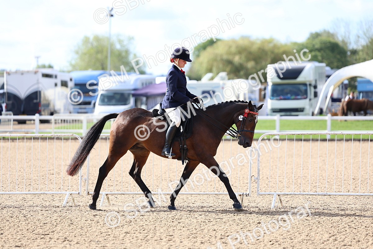 SBM_09102 - Class 303 - Ridden Pure Bred Horse Pony
