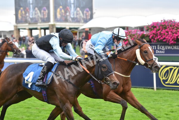 yr24092021r8-26 - Race 8 5.25pm William Hill Build Your Own Odds Apprentice Stakes