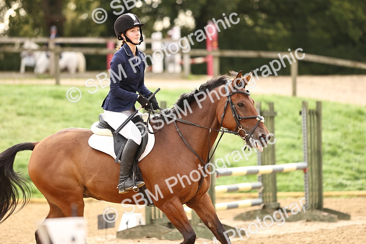 SBM_58204 - J41 - Grand Tour Horse & Pony 95cm