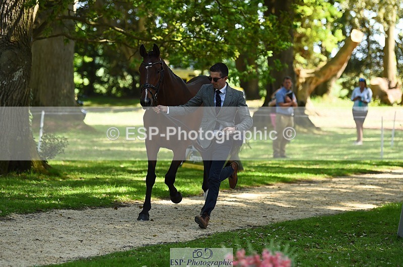 230524-153910-00413 - 371-JERPOINT_ECLIPSE-Max_Gordon-WEDTrotUp+DR