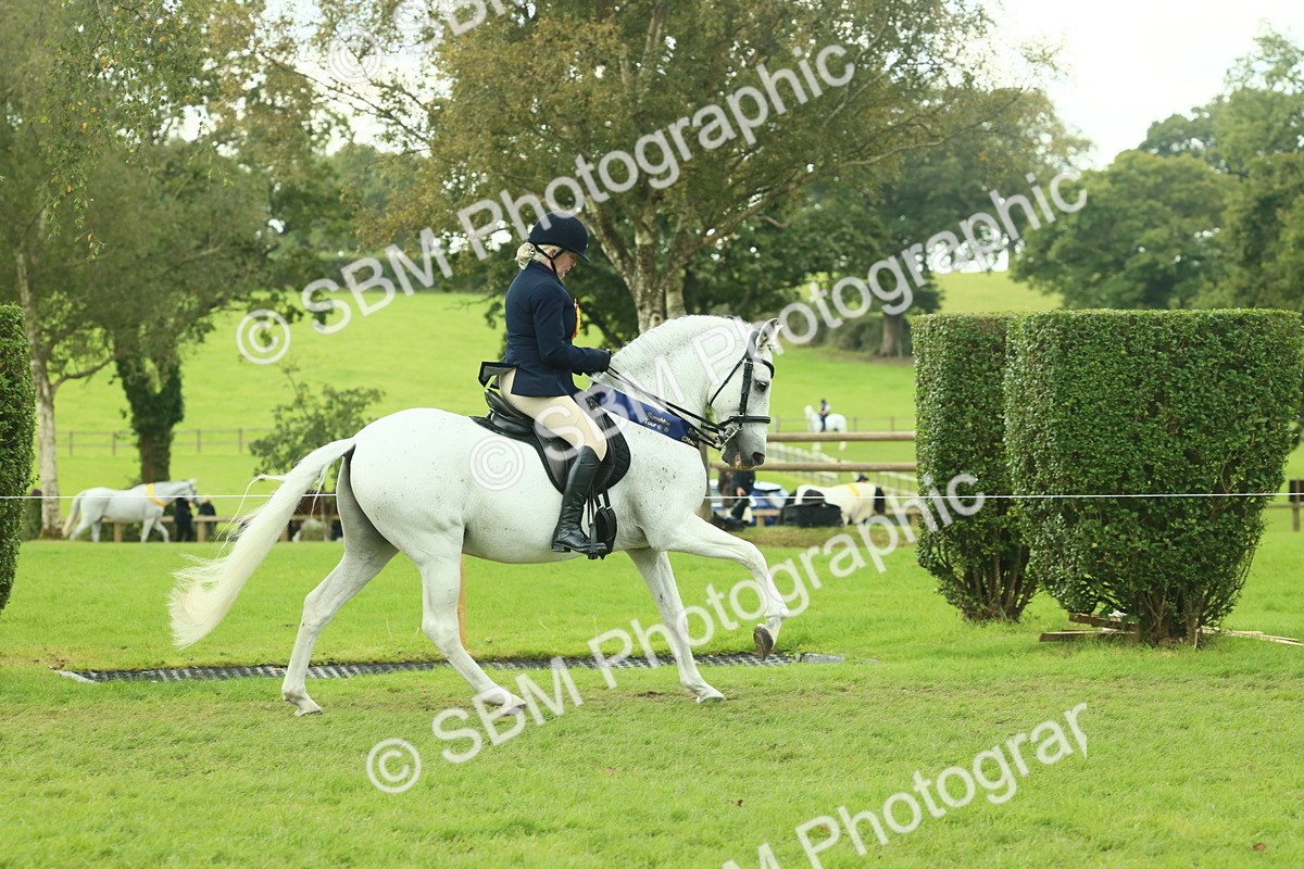 SBM_62553 - S62 - Foreign Breeds Ridden