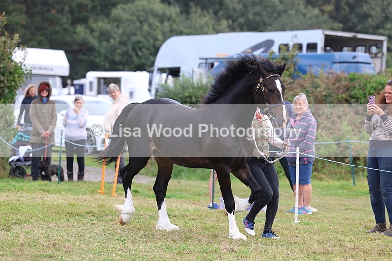 3E7A4139 - Class 15: Two Year Olds