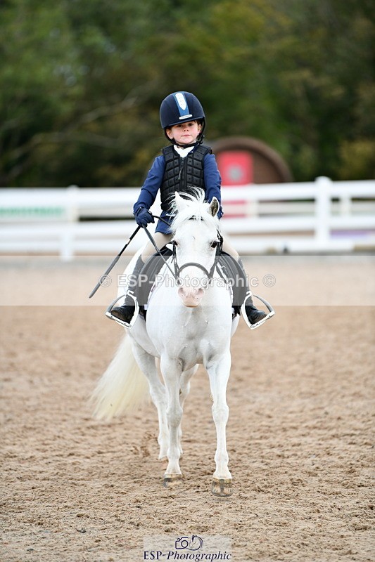 241013B-094857-00273 - Cls 1 Clear Round