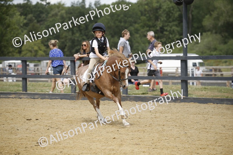 20250622-4614 - 50cm