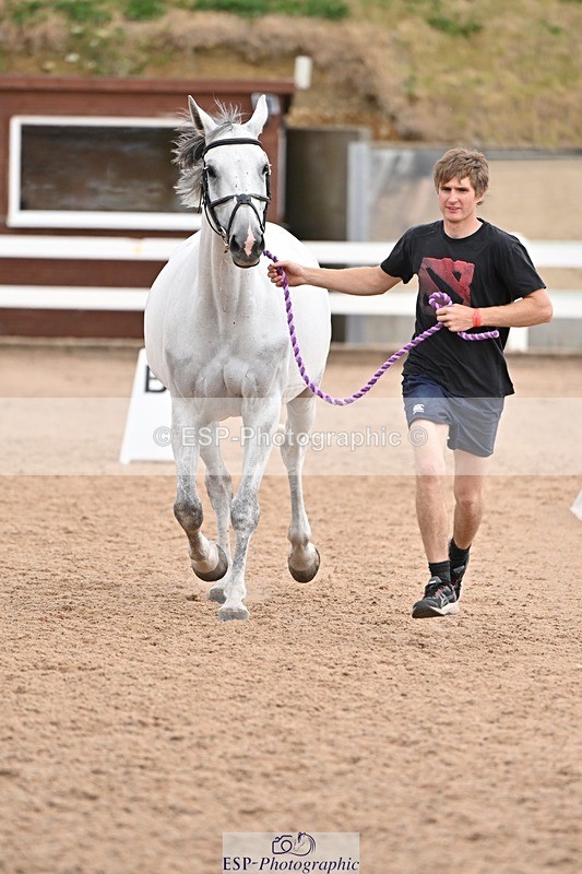 250716-145915-01577 - Trot Up 2.30 to 3.30